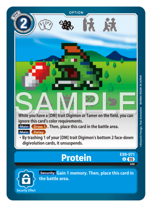 Protein