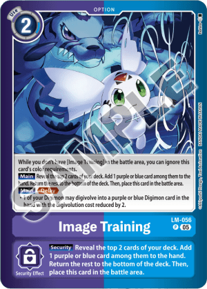 Image Training