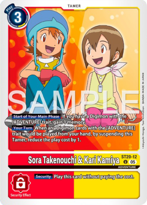 Card: Sora Takenouchi & Kari Kamiya